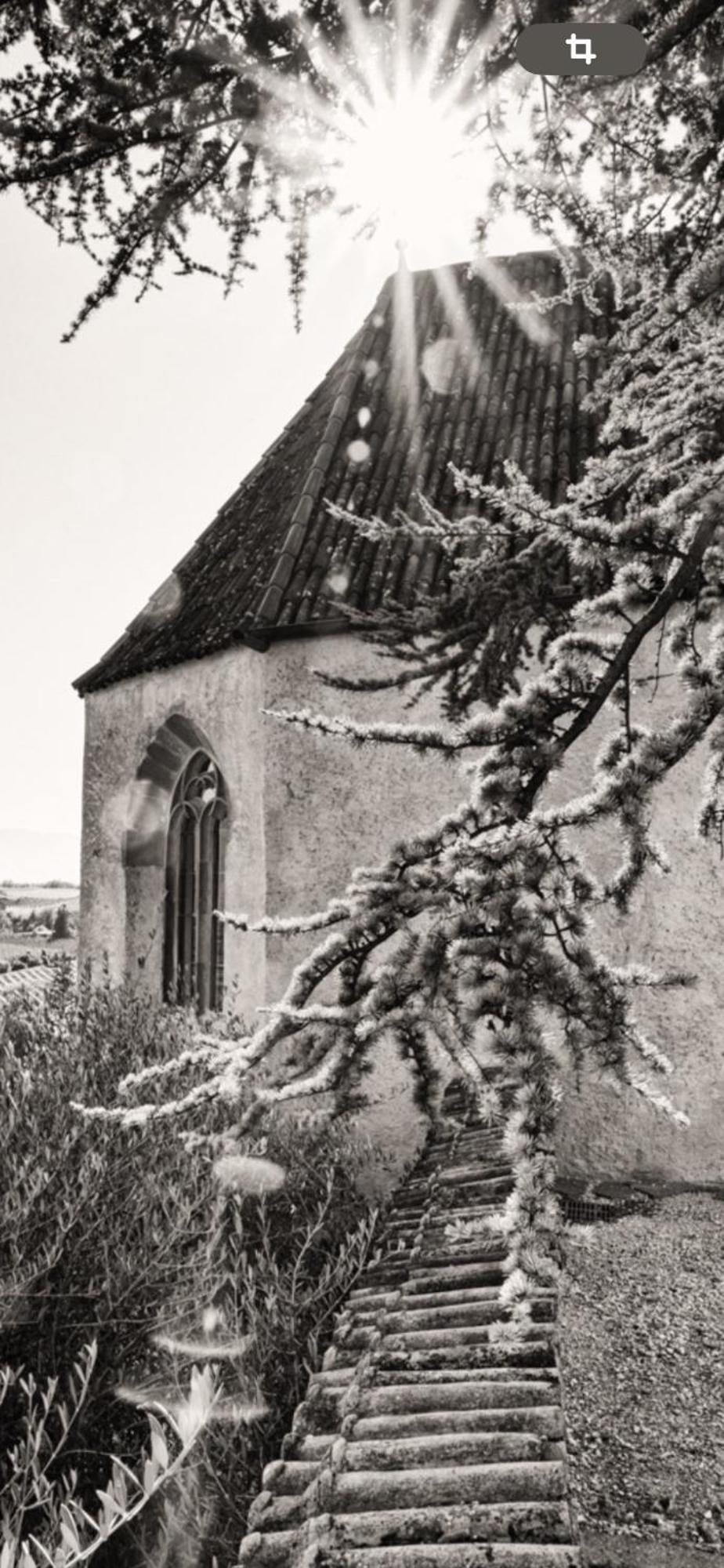 Schloss Freudenstein