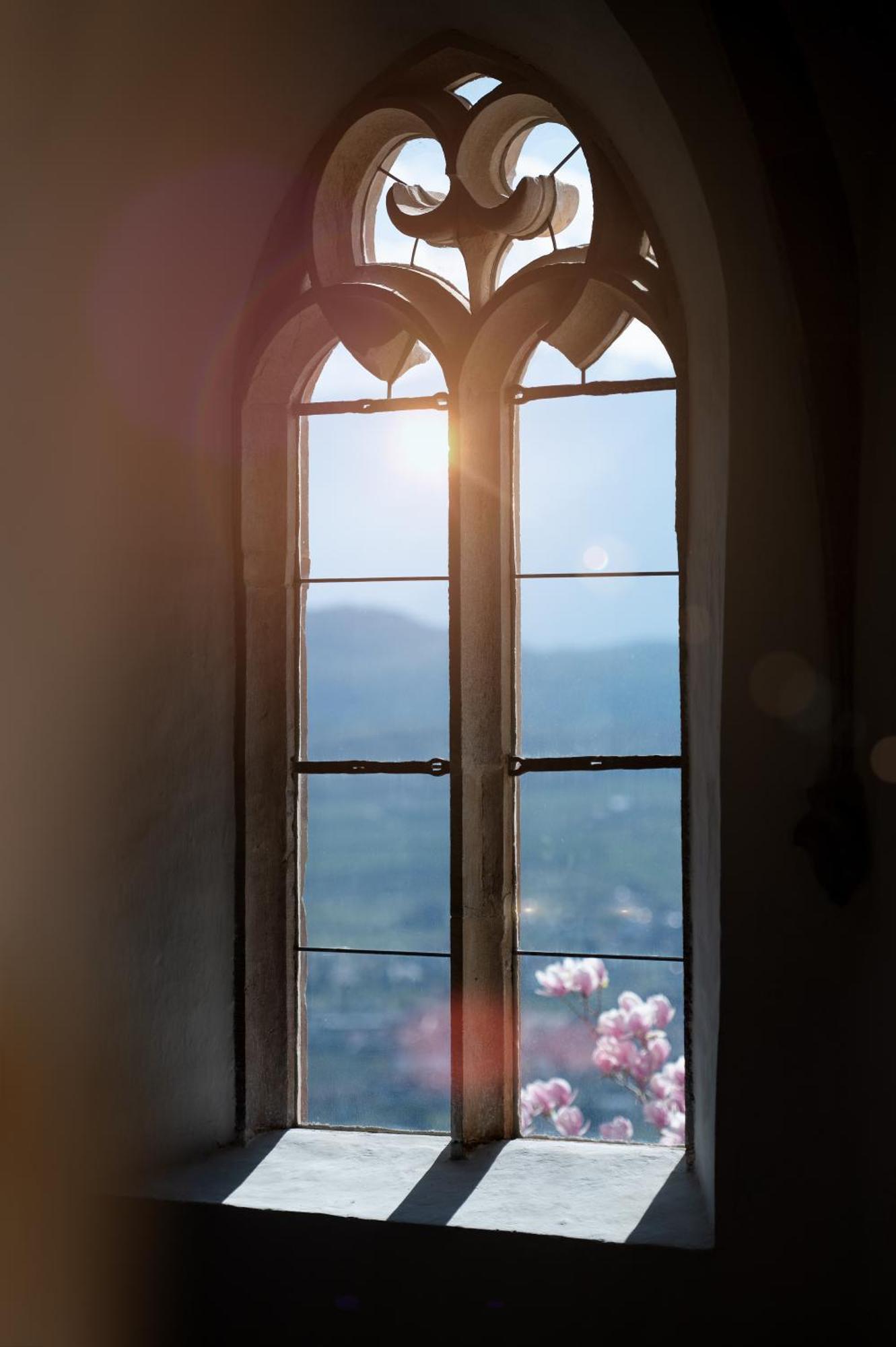 Schloss Freudenstein Hotel 5*